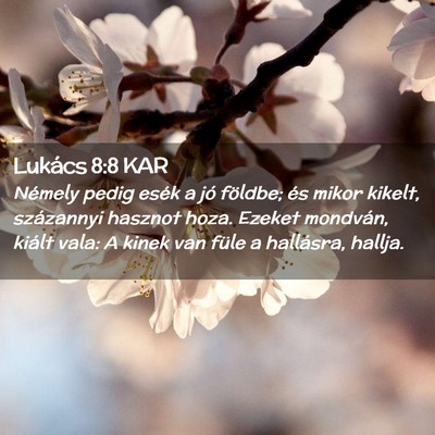 Picture 02 - Lukács 8:8 KAR - Némely pedig esék a jó földbe; és mikor - Bible Verse Picture