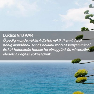 Picture 02 - Lukács 9:13 KAR - Õ pedig monda nékik: Adjatok nékik ti enni. - Bible Verse Picture