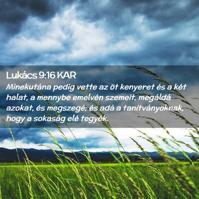 Picture 02 - Lukács 9:16 KAR - Minekutána pedig vette az öt kenyeret és a - Bible Verse Picture
