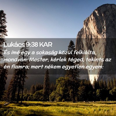 Picture 02 - Lukács 9:38 KAR - És ímé egy a sokaság közül felkiálta, - Bible Verse Picture