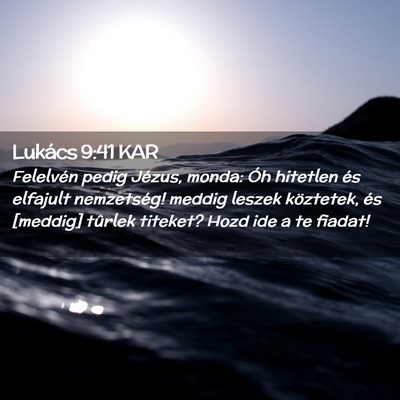 Picture 02 - Lukács 9:41 KAR - Felelvén pedig Jézus, monda: Óh hitetlen és - Bible Verse Picture