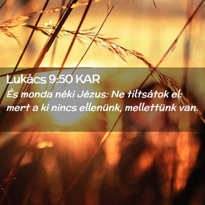Picture 02 - Lukács 9:50 KAR - És monda néki Jézus: Ne tiltsátok el: mert a - Bible Verse Picture