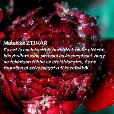 Picture 02 - Malakiás 2:13 KAR - És ezt is cselekszitek: betöltitek az Úr - Bible Verse Picture