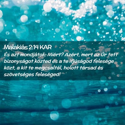Picture 02 - Malakiás 2:14 KAR - És azt mondjátok: Miért? Azért, mert az Úr - Bible Verse Picture