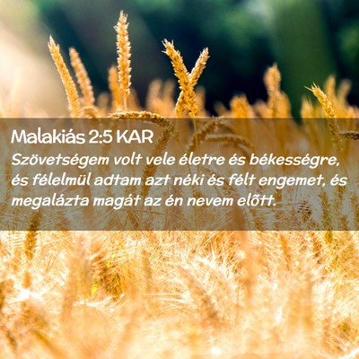 Picture 02 - Malakiás 2:5 KAR - Szövetségem volt vele életre és békességre, - Bible Verse Picture