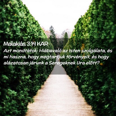 Picture 02 - Malakiás 3:14 KAR - Azt mondtátok: Hiábavaló az Isten szolgálata, - Bible Verse Picture