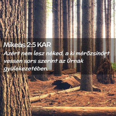 Picture 02 - Mikeás 2:5 KAR - Azért nem lesz néked, a ki mérõzsinórt - Bible Verse Picture