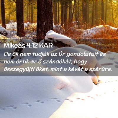 Picture 02 - Mikeás 4:12 KAR - De õk nem tudják az Úr gondolatait és nem - Bible Verse Picture