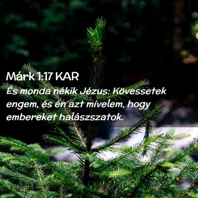 Picture 02 - Márk 1:17 KAR - És monda nékik Jézus: Kövessetek engem, és - Bible Verse Picture