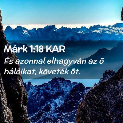 Picture 02 - Márk 1:18 KAR - És azonnal elhagyván az õ hálóikat, - Bible Verse Picture