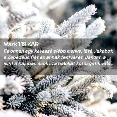 Picture 02 - Márk 1:19 KAR - És onnan egy kevéssé elébb menve, látá - Bible Verse Picture