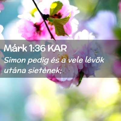 Picture 02 - Márk 1:36 KAR - Simon pedig és a vele lévõk utána - Bible Verse Picture