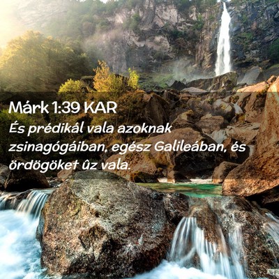 Picture 02 - Márk 1:39 KAR - És prédikál vala azoknak zsinagógáiban, - Bible Verse Picture