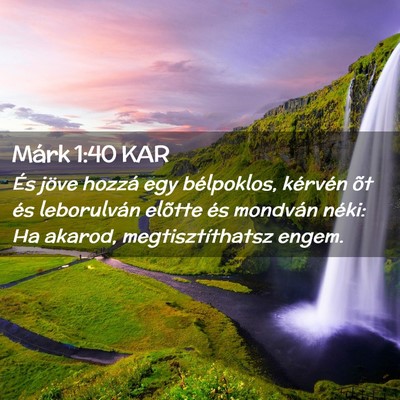 Picture 02 - Márk 1:40 KAR - És jöve hozzá egy bélpoklos, kérvén õt és - Bible Verse Picture
