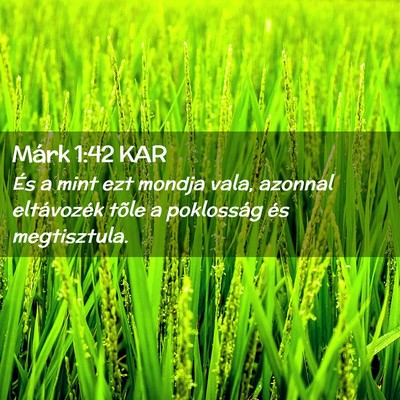 Picture 02 - Márk 1:42 KAR - És a mint ezt mondja vala, azonnal eltávozék - Bible Verse Picture