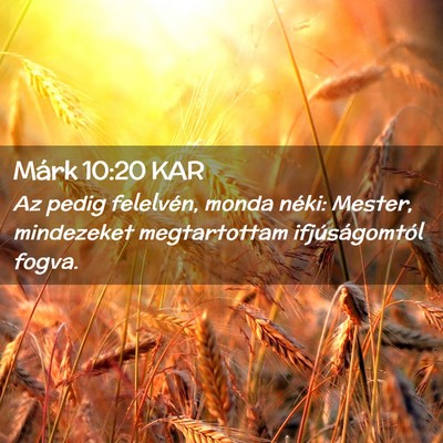 Picture 02 - Márk 10:20 KAR - Az pedig felelvén, monda néki: Mester, - Bible Verse Picture