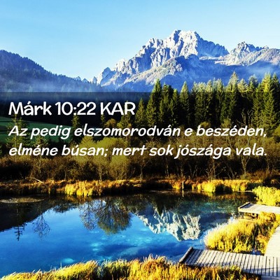 Picture 02 - Márk 10:22 KAR - Az pedig elszomorodván e beszéden, elméne - Bible Verse Picture