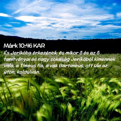 Picture 02 - Márk 10:46 KAR - És Jerikóba érkezének: és mikor õ és az õ - Bible Verse Picture