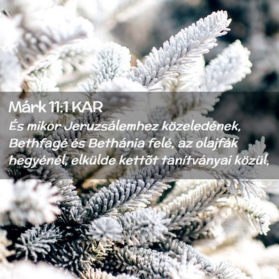Picture 02 - Márk 11:1 KAR - És mikor Jeruzsálemhez közeledének, Bethfagé - Bible Verse Picture