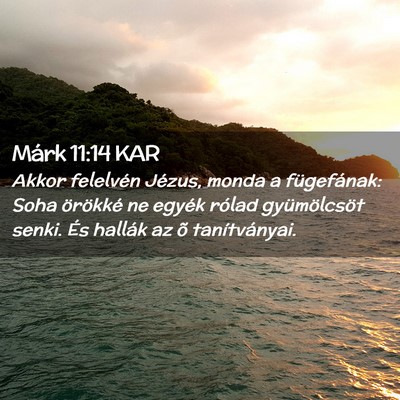 Picture 02 - Márk 11:14 KAR - Akkor felelvén Jézus, monda a fügefának: Soha - Bible Verse Picture