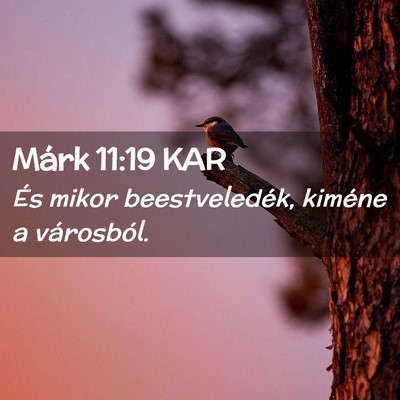 Picture 02 - Márk 11:19 KAR - És mikor beestveledék, kiméne a - Bible Verse Picture
