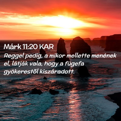 Picture 02 - Márk 11:20 KAR - Reggel pedig, a mikor mellette menének el, - Bible Verse Picture