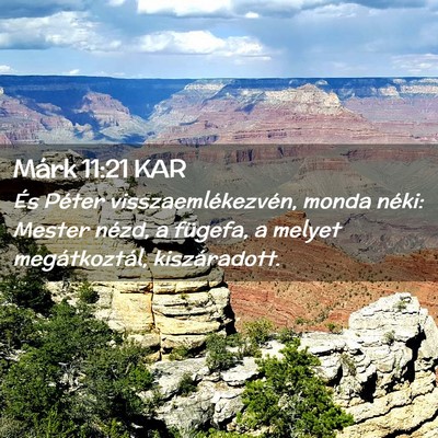Picture 02 - Márk 11:21 KAR - És Péter visszaemlékezvén, monda néki: - Bible Verse Picture