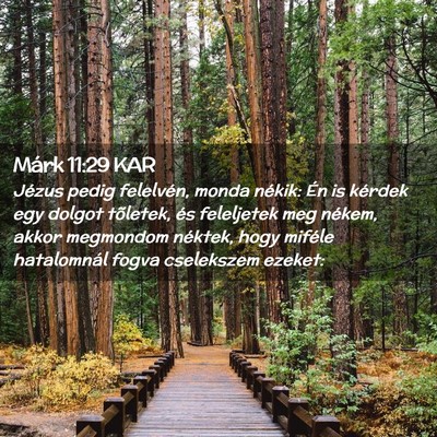 Picture 02 - Márk 11:29 KAR - Jézus pedig felelvén, monda nékik: Én is - Bible Verse Picture