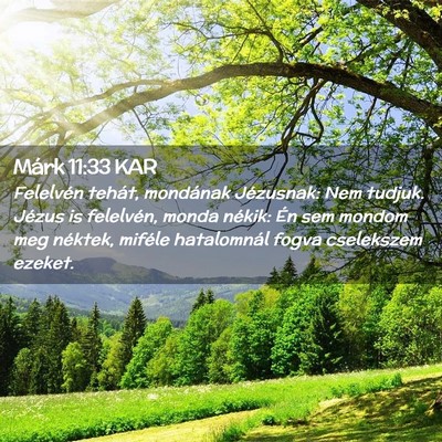 Picture 02 - Márk 11:33 KAR - Felelvén tehát, mondának Jézusnak: Nem - Bible Verse Picture