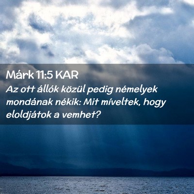 Picture 02 - Márk 11:5 KAR - Az ott állók közül pedig némelyek mondának - Bible Verse Picture