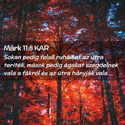 Picture 02 - Márk 11:8 KAR - Sokan pedig felsõ ruháikat az útra teríték, - Bible Verse Picture