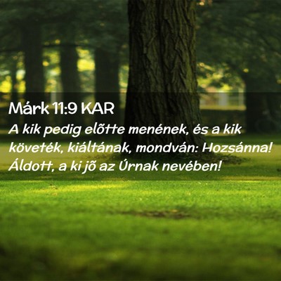 Picture 02 - Márk 11:9 KAR - A kik pedig elõtte menének, és a kik - Bible Verse Picture