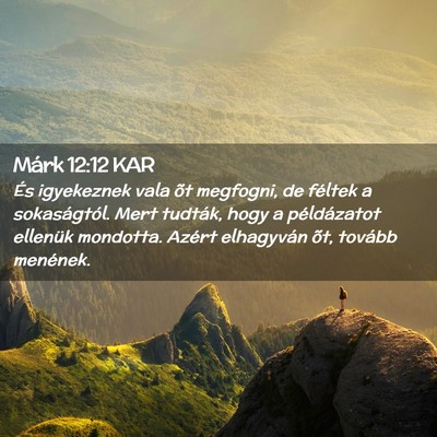 Picture 02 - Márk 12:12 KAR - És igyekeznek vala õt megfogni, de féltek a - Bible Verse Picture