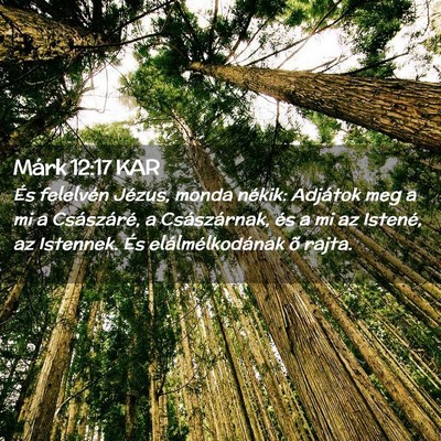 Picture 02 - Márk 12:17 KAR - És felelvén Jézus, monda nékik: Adjátok meg - Bible Verse Picture