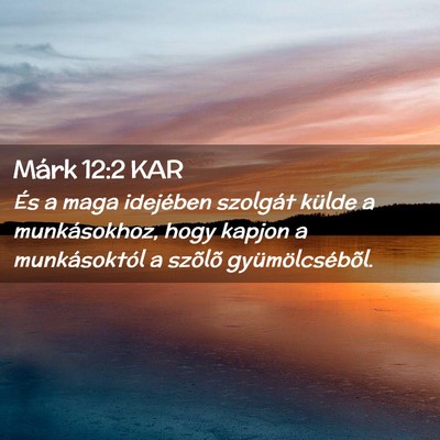 Picture 02 - Márk 12:2 KAR - És a maga idejében szolgát külde a - Bible Verse Picture