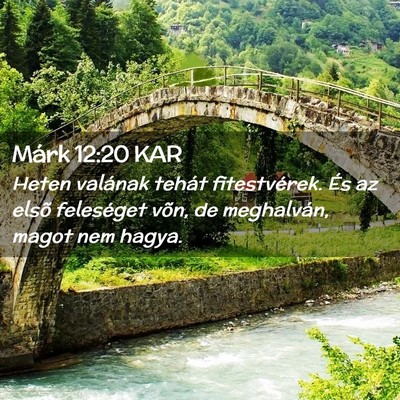 Picture 02 - Márk 12:20 KAR - Heten valának tehát fitestvérek. És az elsõ - Bible Verse Picture