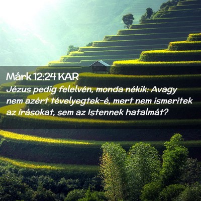 Picture 02 - Márk 12:24 KAR - Jézus pedig felelvén, monda nékik: Avagy nem - Bible Verse Picture