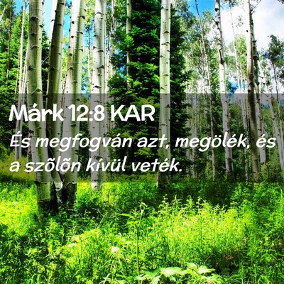 Picture 02 - Márk 12:8 KAR - És megfogván azt, megölék, és a szõlõn - Bible Verse Picture