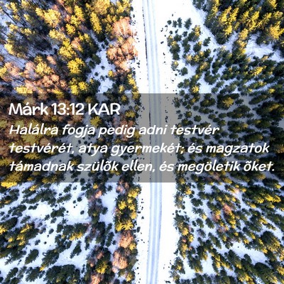 Picture 02 - Márk 13:12 KAR - Halálra fogja pedig adni testvér testvérét, - Bible Verse Picture