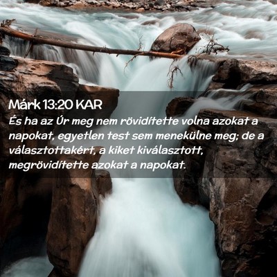 Picture 02 - Márk 13:20 KAR - És ha az Úr meg nem rövidítette volna azokat - Bible Verse Picture