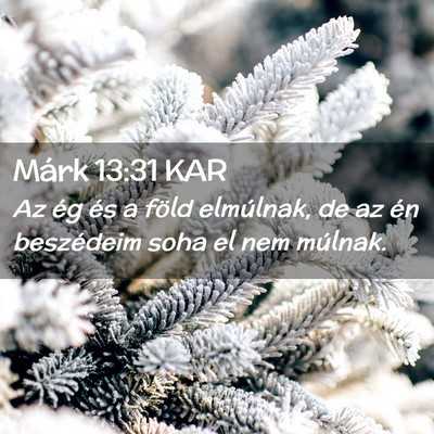 Picture 02 - Márk 13:31 KAR - Az ég és a föld elmúlnak, de az én - Bible Verse Picture