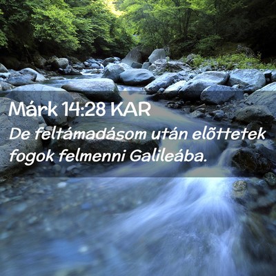Picture 02 - Márk 14:28 KAR - De feltámadásom után elõttetek fogok felmenni - Bible Verse Picture