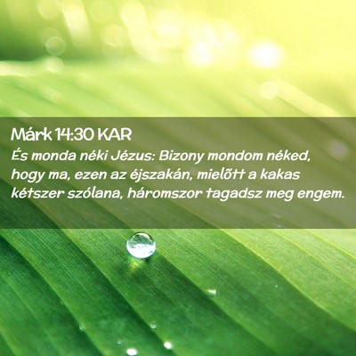 Picture 02 - Márk 14:30 KAR - És monda néki Jézus: Bizony mondom néked, - Bible Verse Picture
