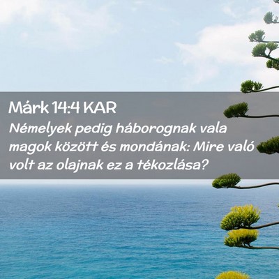 Picture 02 - Márk 14:4 KAR - Némelyek pedig háborognak vala magok között - Bible Verse Picture