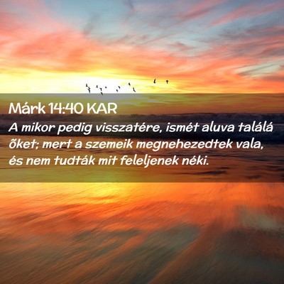 Picture 02 - Márk 14:40 KAR - A mikor pedig visszatére, ismét aluva találá - Bible Verse Picture