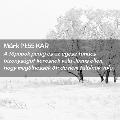 Picture 02 - Márk 14:55 KAR - A fõpapok pedig és az egész tanács - Bible Verse Picture