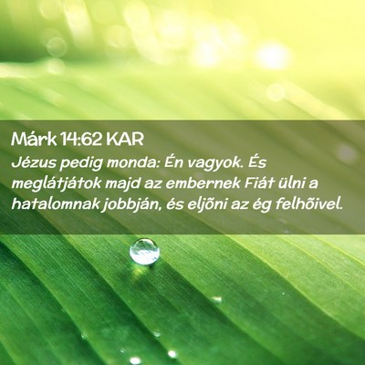 Picture 02 - Márk 14:62 KAR - Jézus pedig monda: Én vagyok. És meglátjátok - Bible Verse Picture