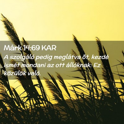 Picture 02 - Márk 14:69 KAR - A szolgáló pedig meglátva õt, kezdé ismét - Bible Verse Picture