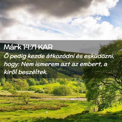 Picture 02 - Márk 14:71 KAR - Õ pedig kezde átkozódni és esküdözni, hogy: - Bible Verse Picture