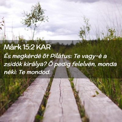Picture 02 - Márk 15:2 KAR - És megkérdé õt Pilátus: Te vagy-é a zsidók - Bible Verse Picture